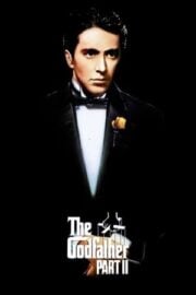 The Godfather 2 – Baba filmi izle